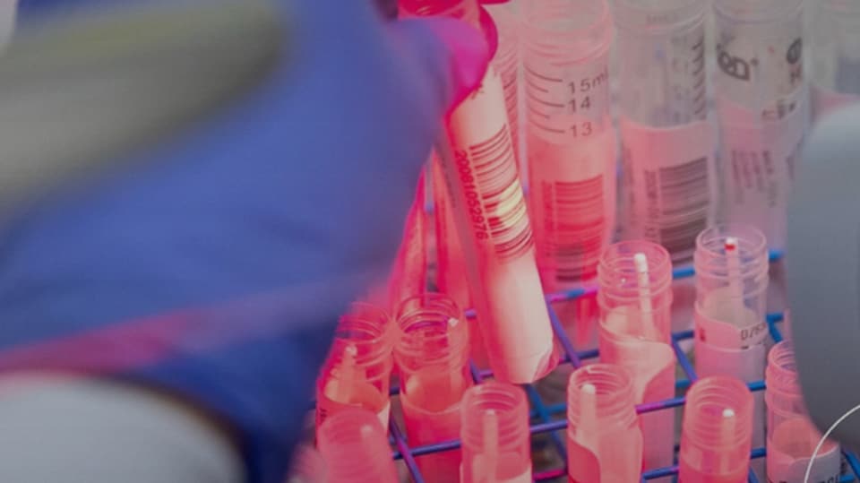 A lab technician preparing to run a COVID-19 blood test.