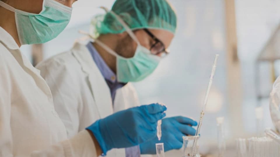 Two scientists working on a project in a lab