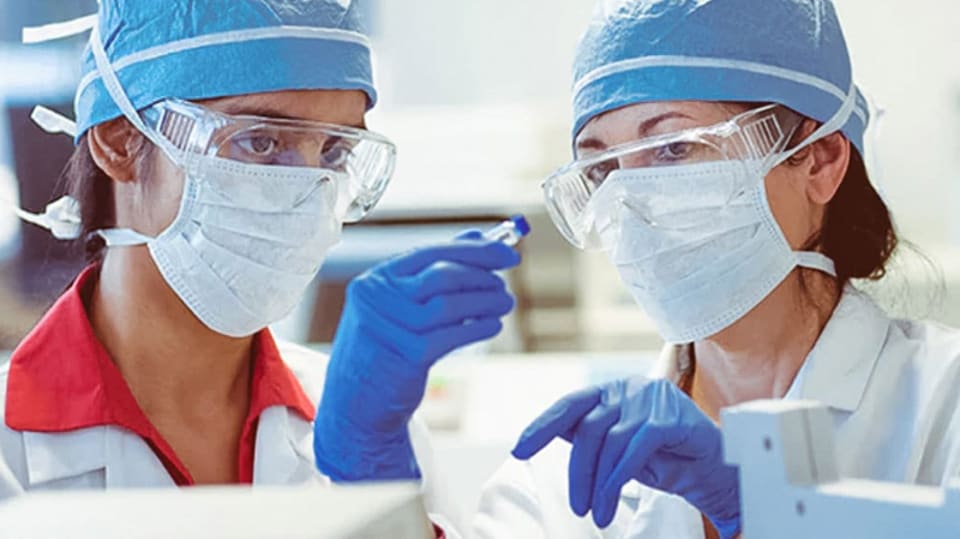 Two doctors looking at a centrifuged specimen.