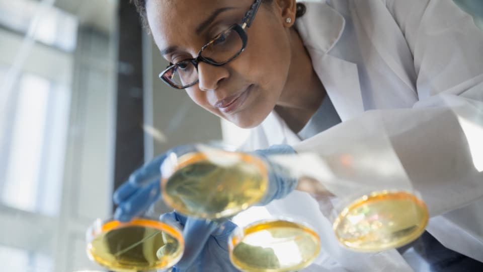 Håndtering af biologisk materiale