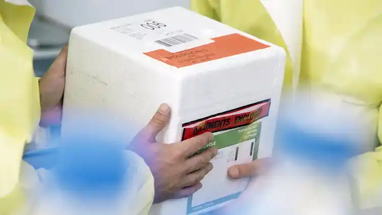 Caja con etiquetas de cuidado especial de UPS